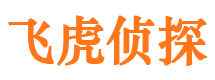 长沙外遇调查取证